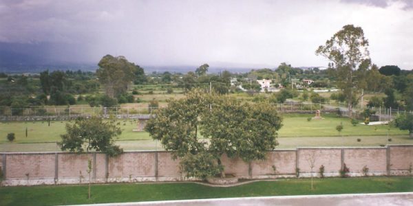 pagweb 017