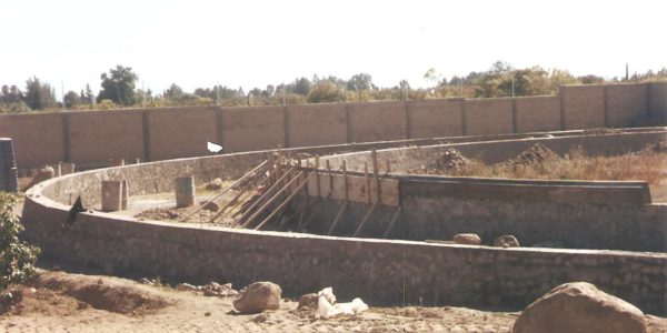pagweb 018