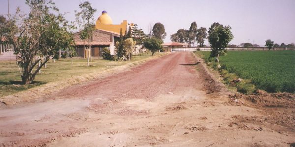 pagweb 043