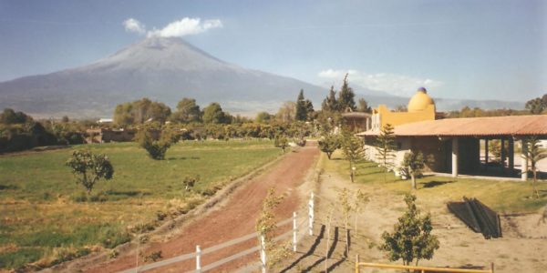 pagweb 044